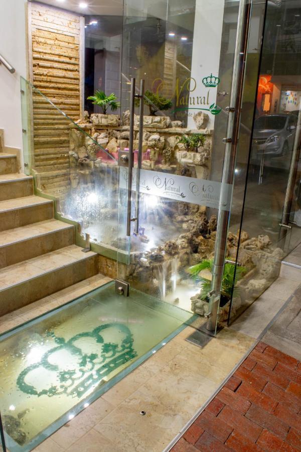 Natural Hotel De La Vega Hotel